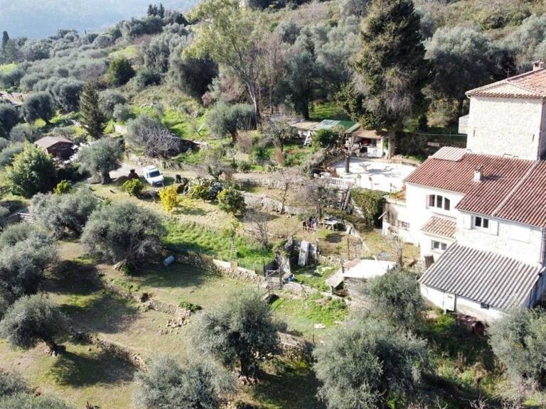 Maison provençale au milieu des oliviers — photo 1