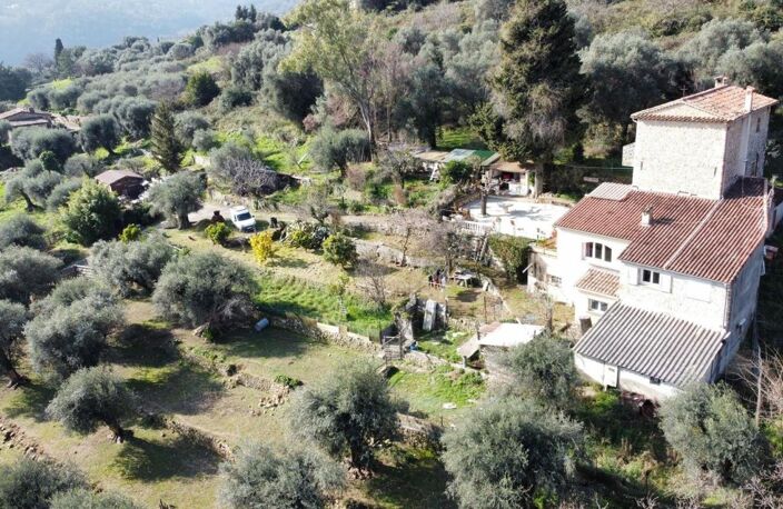 Maison provençale au milieu des oliviers — photo 4