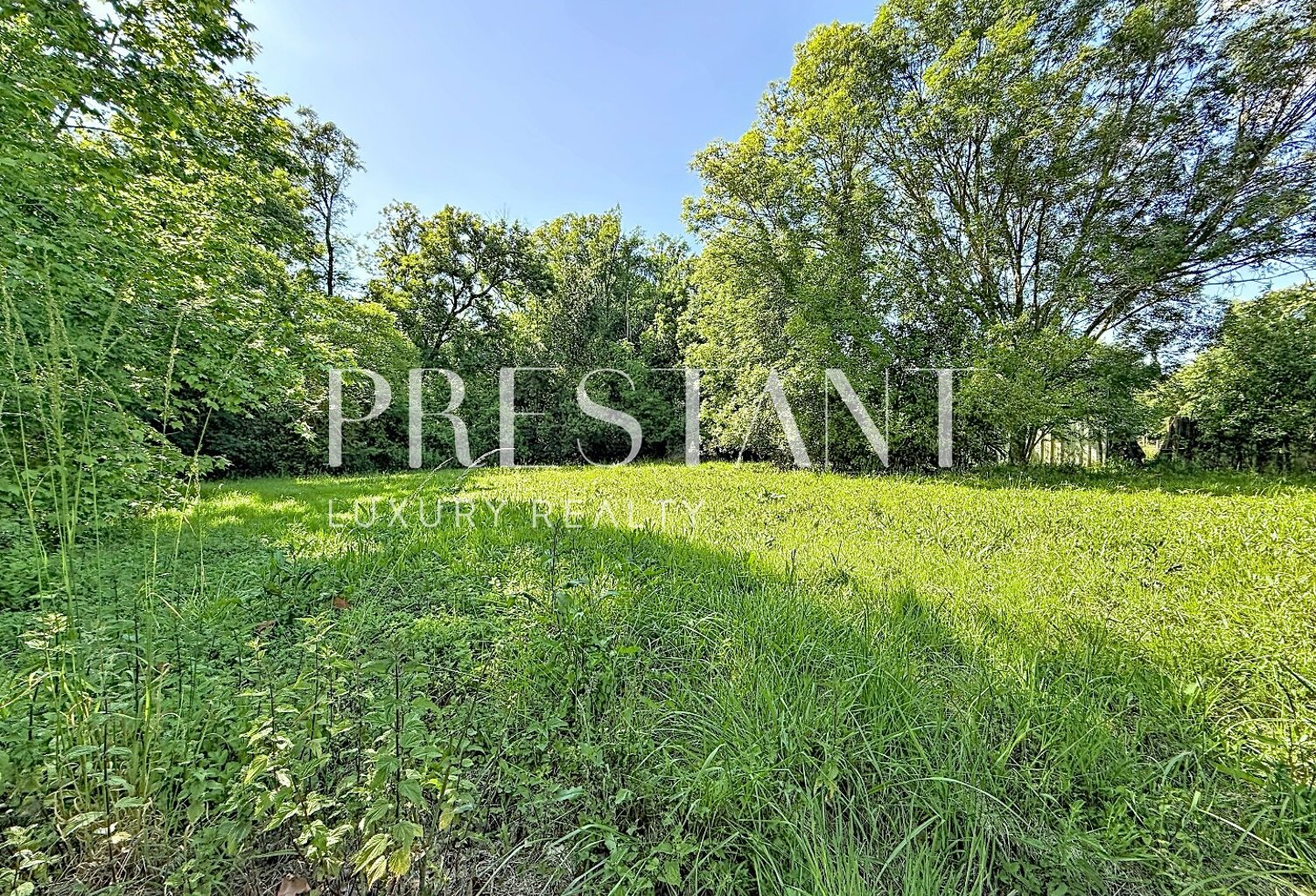 Terrain — photo 1
