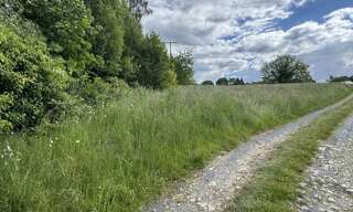 Terrain  13738 m² à vendre à Saint-Yrieix-la-Perche (87500)