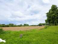 Corps de Ferme de 5 pièces principales — photo 2