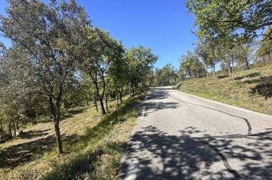 Terrain  30000 €