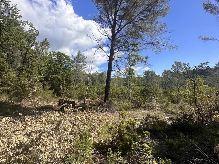 Vente Terrain 19 030 m&sup2; — photo 1