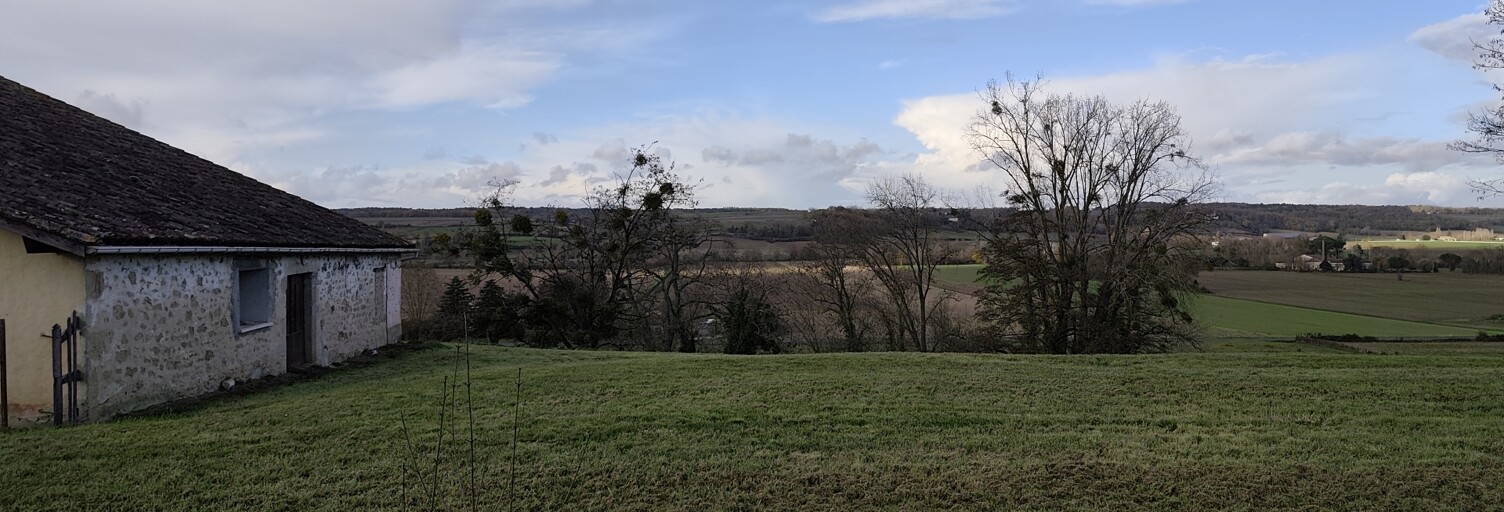 Photo N° 2