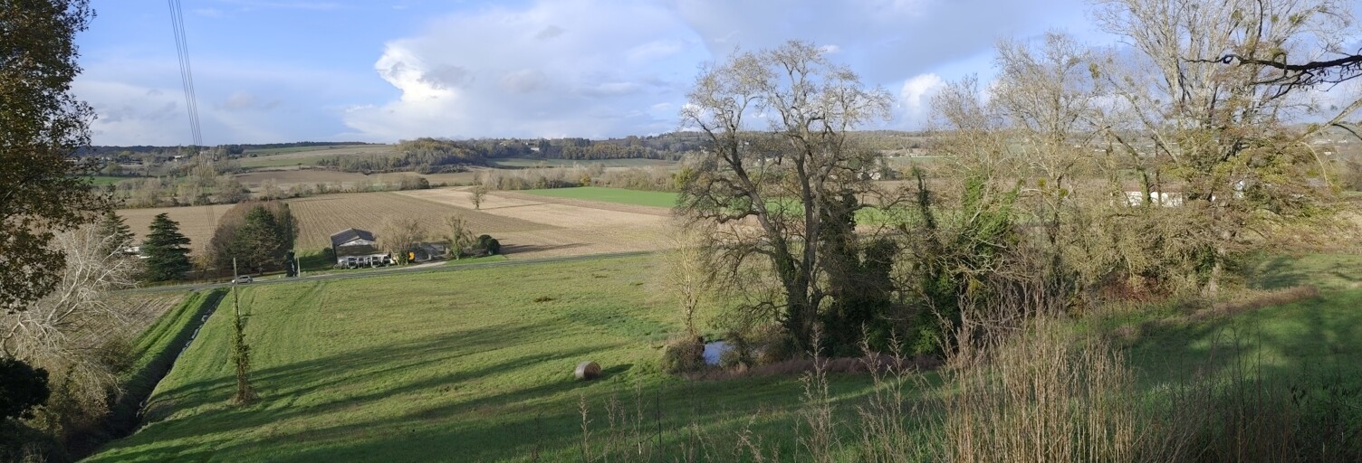 Photo N° 2