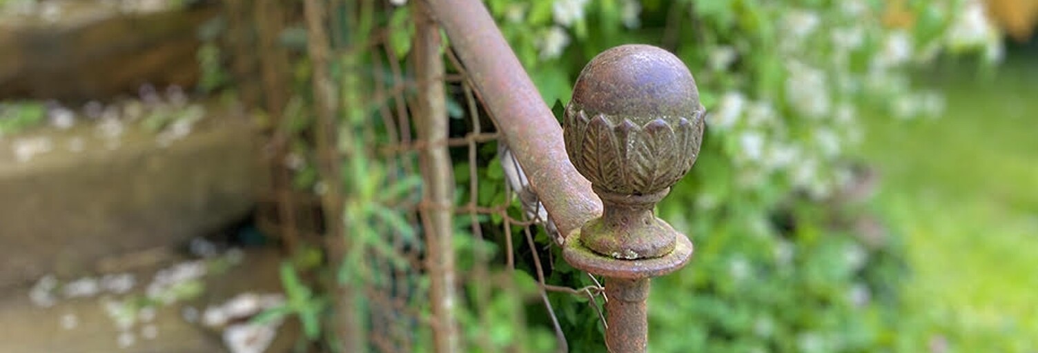 Photo N° 2