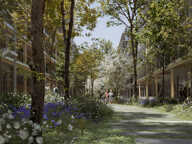 L'archipel — photo 3