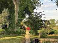 EXCLUSIVITÉ : Domaine d exception 'Mas de Bellombre' — photo 3
