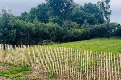 Terrain  210000 €
