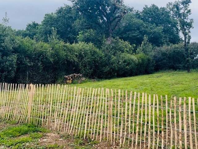 Terrain à bâtir à Landrezac – Calme absolu, à 800 m de la plage, 710 m² libre de constructeur — photo du bien