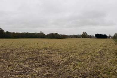 Terrain  49000 €