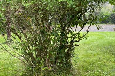 Terrain  112000 €