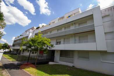 Appartement 3 pièces 916 €