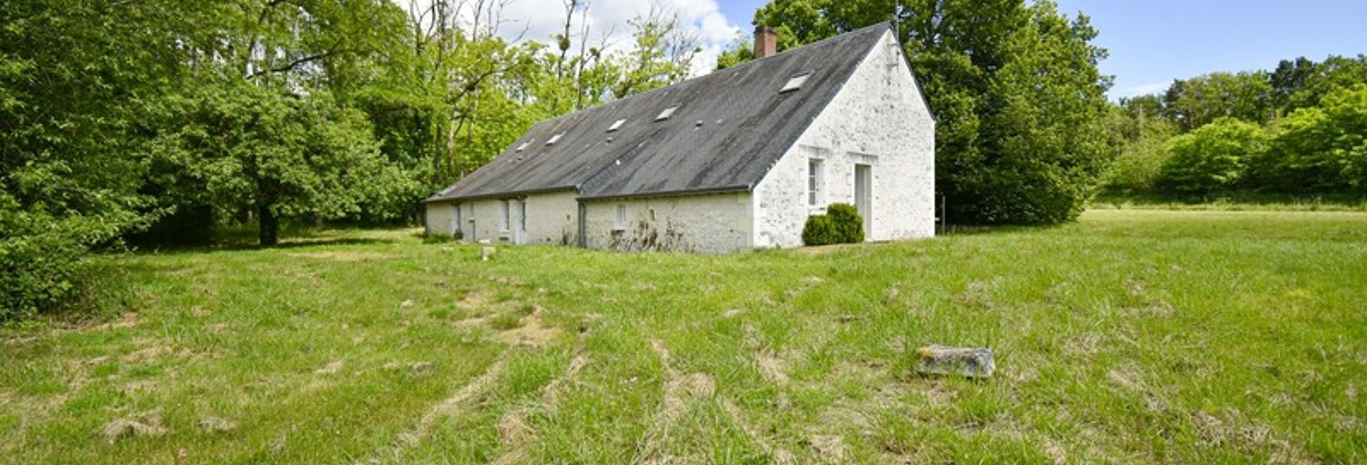Immeuble  230 m² à vendre à Meusnes (41130)