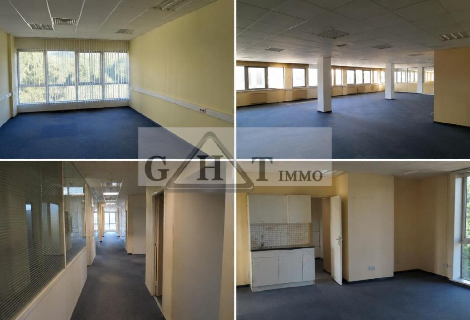 IMMEUBLE DE BUREAUX A VENDRE ALFORTVILLE — photo 1