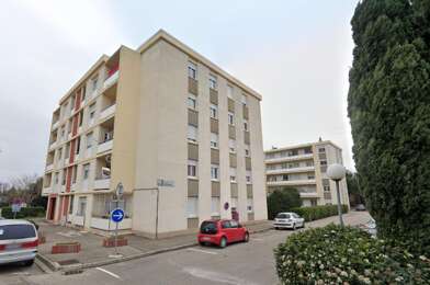 Appartement 3 pièces 558 €