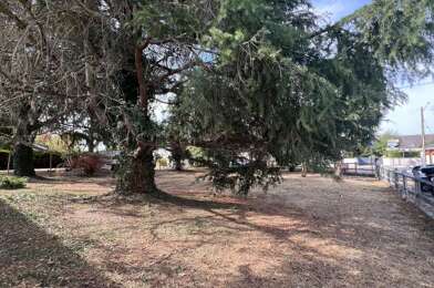 Terrain  84000 €