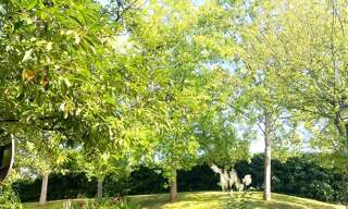 Photo N° 2