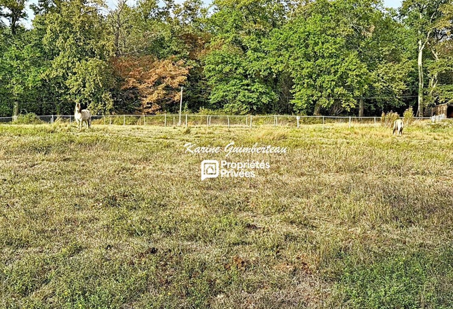 Maison en pierre + gîte + près + bois + étang — photo 1