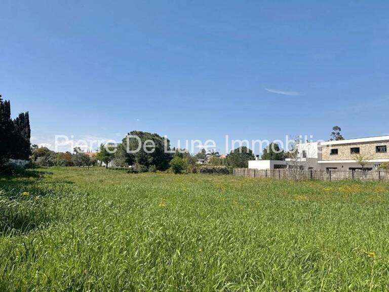 Mas Llaro, beau terrain plat 2000 m², viabilisé, clos, au calme — photo 1
