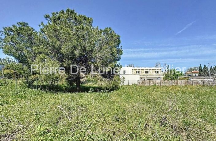 Mas Llaro, beau terrain plat 2000 m², viabilisé, clos, au calme — photo 5