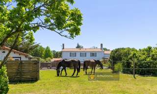 Maison 10 Pièces 175 m² à vendre à Bois-de-Céné (85710)