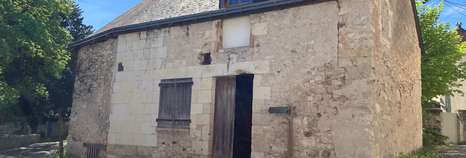 Maison 1 Pièce 100 m² à vendre à Artannes-sur-Indre (37260)