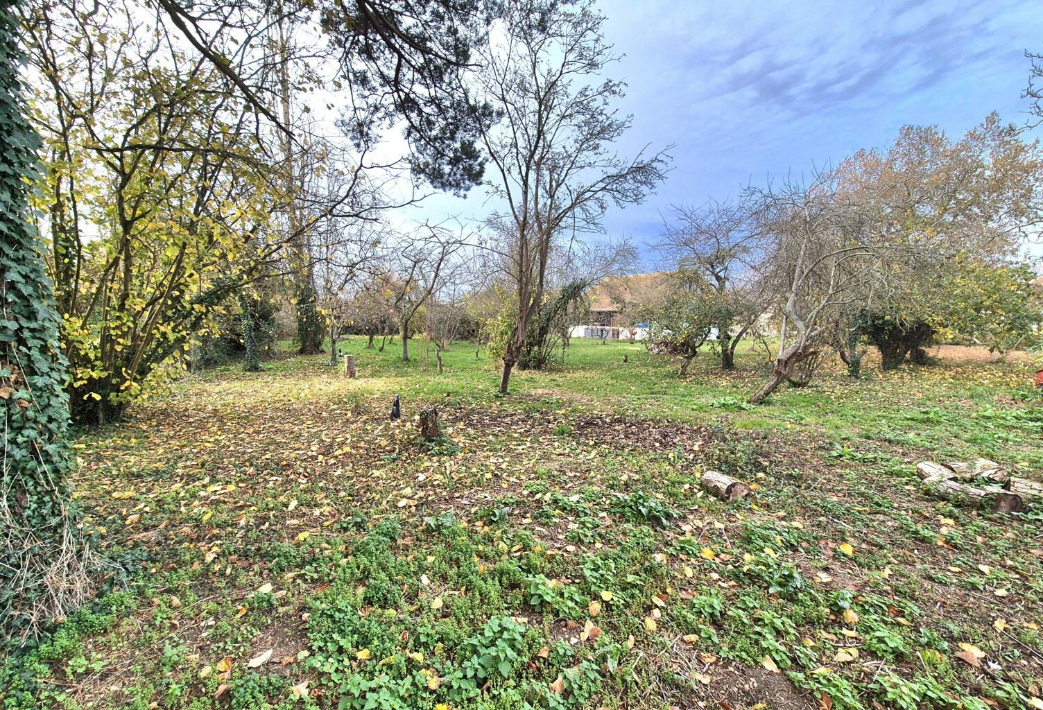 terrain plat — photo 1