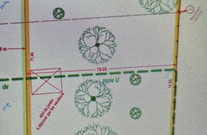 terrain plat — photo 4