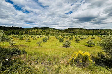 Terrain  55000 €