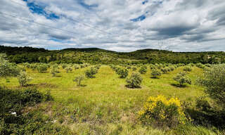 Terrain  25200 m² à vendre à Gabian (34320)