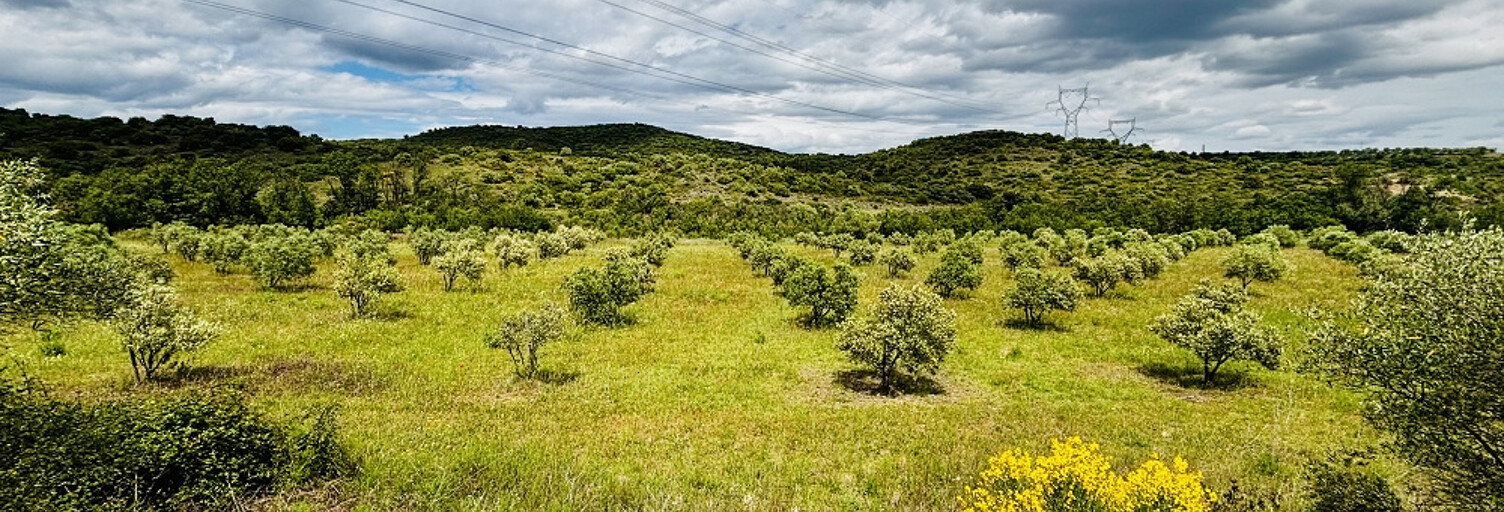 Terrain  25200 m² à vendre à Gabian (34320)