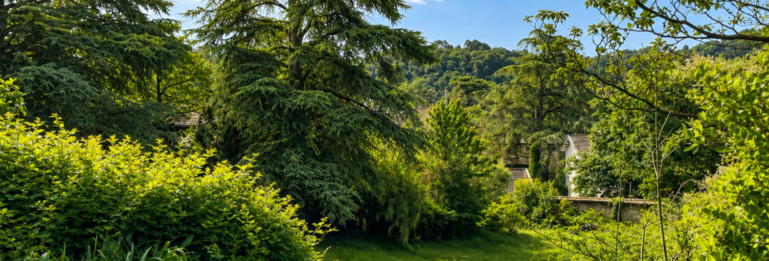 Terrain  1650 m² à vendre à Collonges-au-Mont-d'Or (69660)