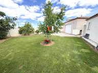 MEYNES 30840 — photo 2