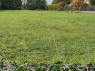 Vente Terrain à bâtir 2 187 m&sup2; — photo 3