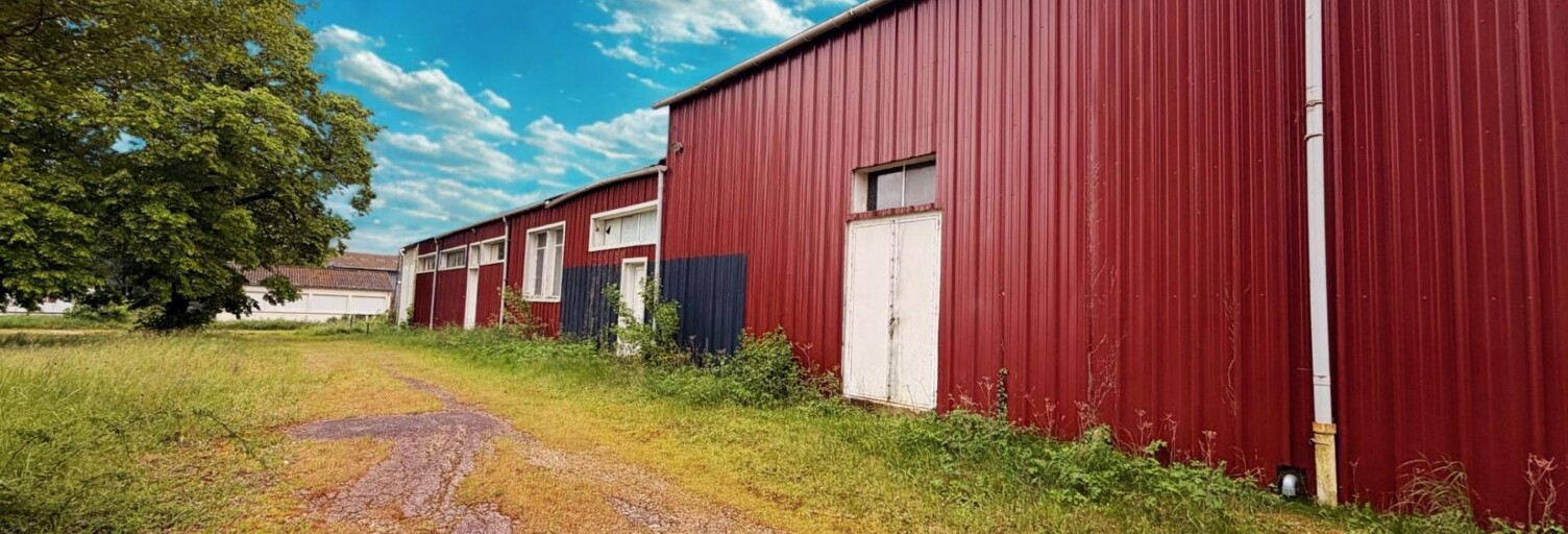 Commerce 18 Pièces 1800 m² à vendre à Nogent-sur-Seine (10400)