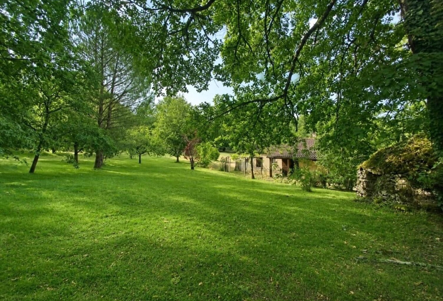 Superbe propriété de 8520 m 2  avec plain pied 3 chambres et garage indépendant — photo 1