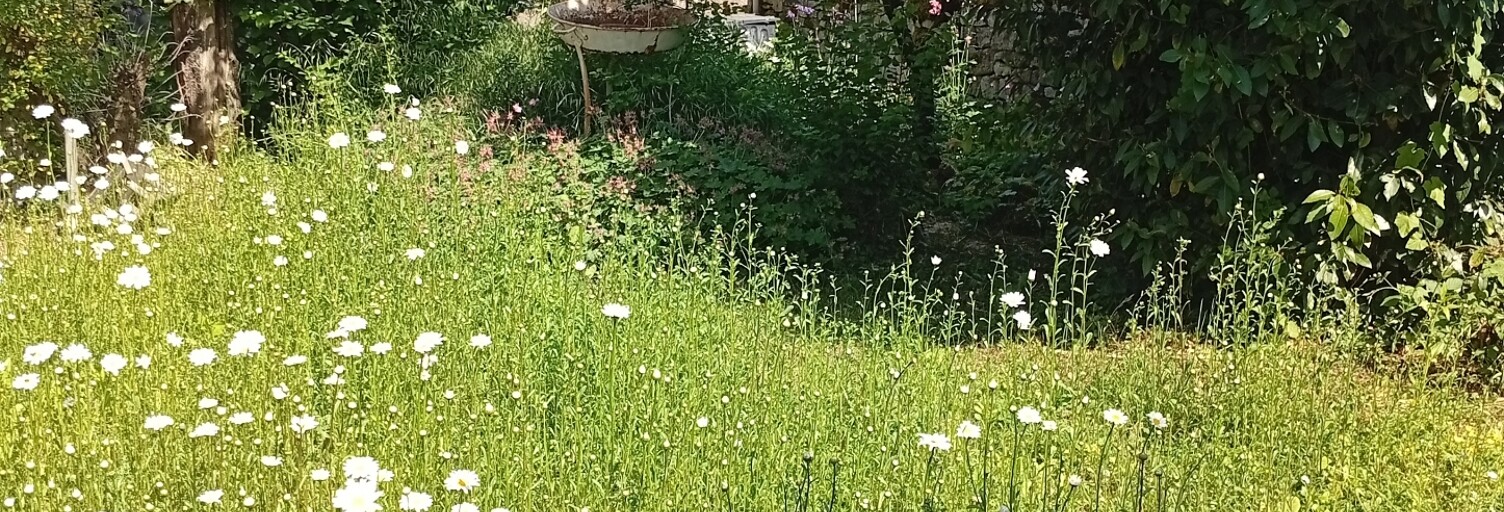 Photo N° 2