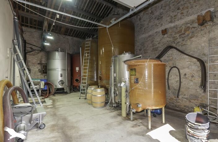 Propriété Viticole de 0 pièces principales — photo 3
