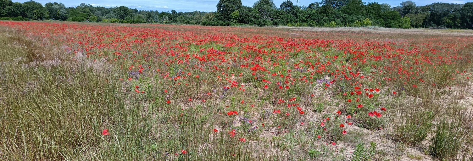 Terrain  36180 m² à vendre à Saint-Julien-de-Peyrolas (30760)