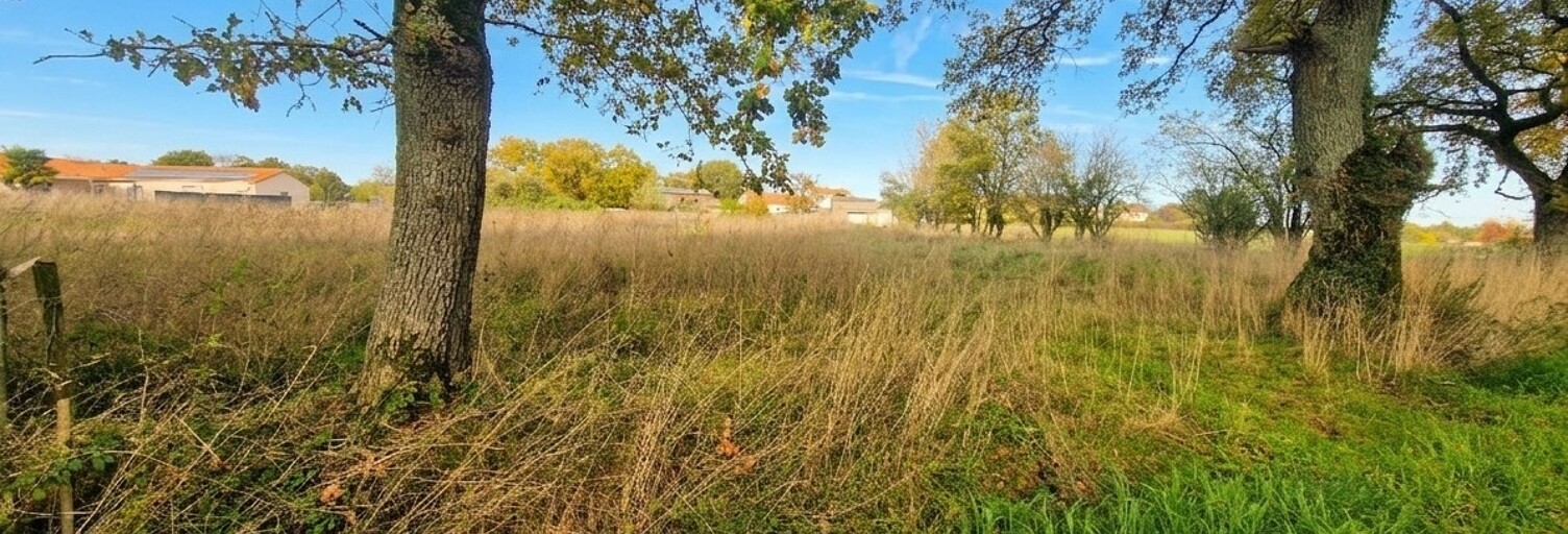 Terrain  761 m² à vendre à La Limouzinière (44310)