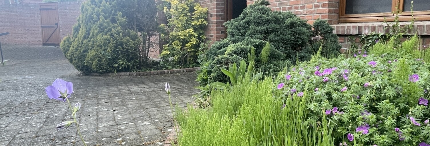 Maison 5 Pièces 82 m² à vendre à Cassel (59670)