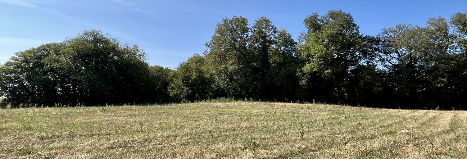 Terrain  4396 m² à vendre à Paulin (24590)