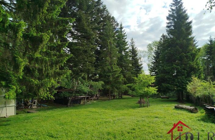 TERRAIN DE LOISIRS AVEC PLAN D'EAU EN PLEINE NATURE — photo 4