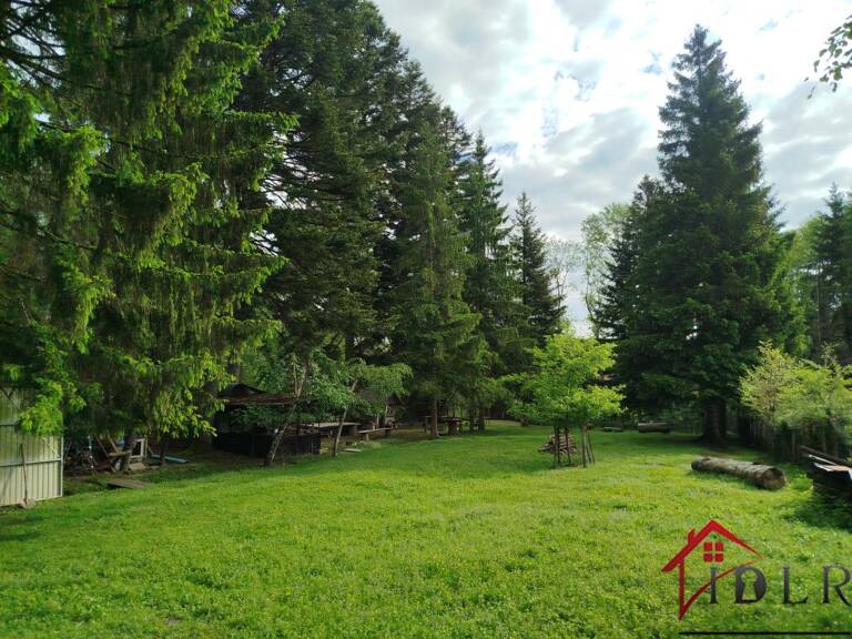 TERRAIN DE LOISIRS AVEC PLAN D'EAU EN PLEINE NATURE — photo 1