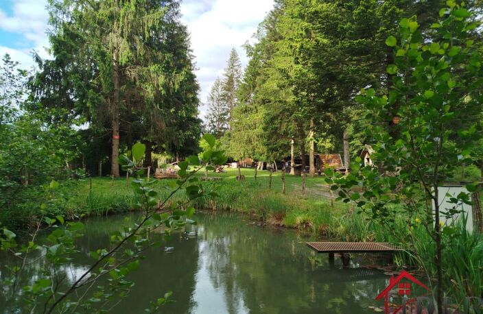 TERRAIN DE LOISIRS AVEC PLAN D'EAU EN PLEINE NATURE — photo 5