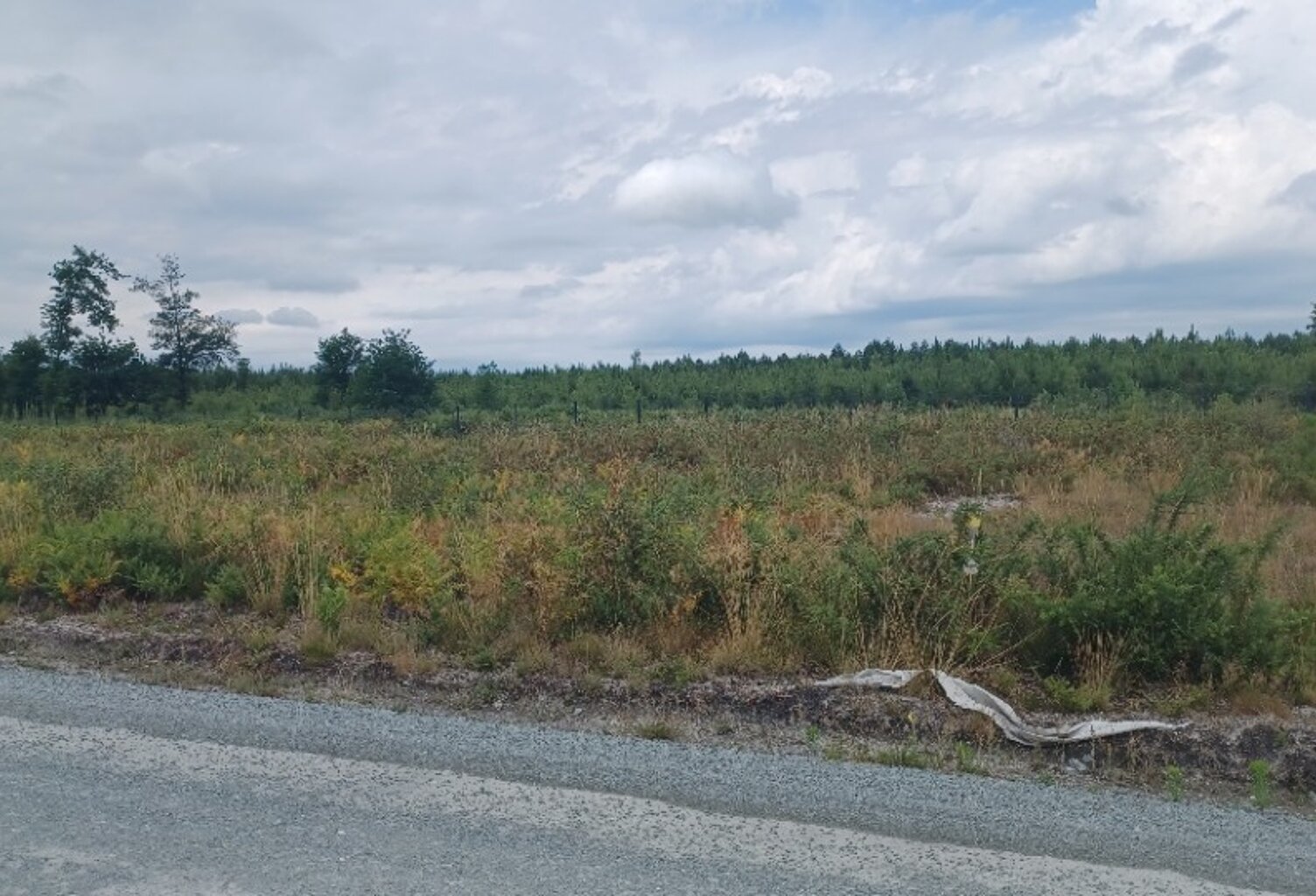 Terrain à bâtir à Mios (33380) — photo 1