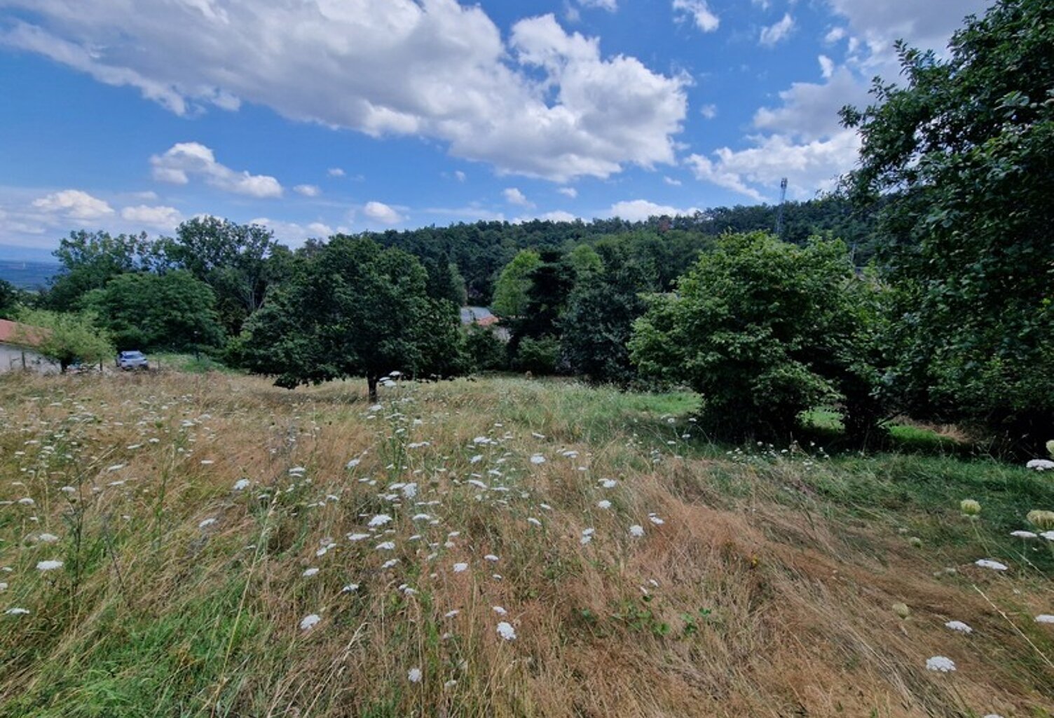 Terrain à vendre de 1271 m² orienté SUD sur la commune de MARCOUX, 2 minutes de BOEN et 15 minutes de MONTBRISON — photo 1