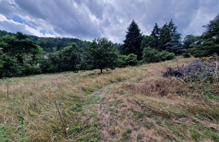Terrain à vendre de 1271 m² orienté SUD sur la commune de MARCOUX, 2 minutes de BOEN et 15 minutes de MONTBRISON — photo 2