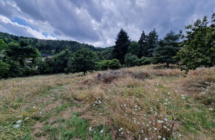Terrain à vendre de 1271 m² orienté SUD sur la commune de MARCOUX, 2 minutes de BOEN et 15 minutes de MONTBRISON — photo 3